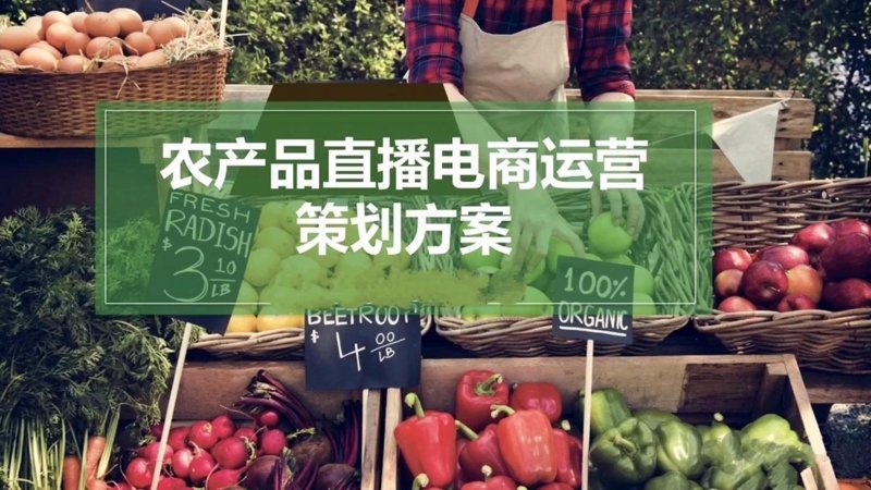 种子批发